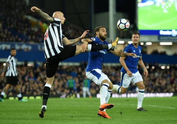 炒作现象在 炒作现象在