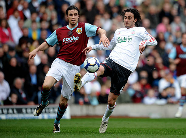 茶叶在水中 茶叶在水中